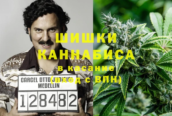 соль ск Алзамай