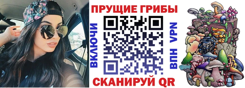 Псилоцибиновые грибы Cubensis  купить наркоту  Игра 
